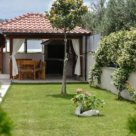 Exclusive * 斯普利特